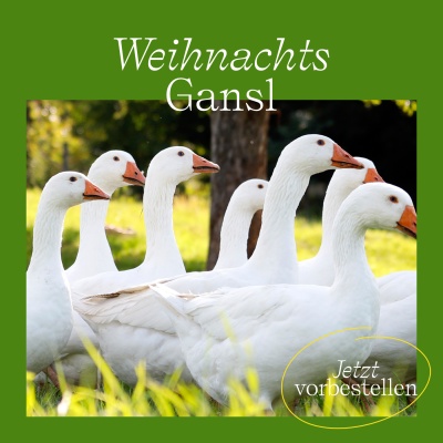 BIO Weidegans und BIO Weideente